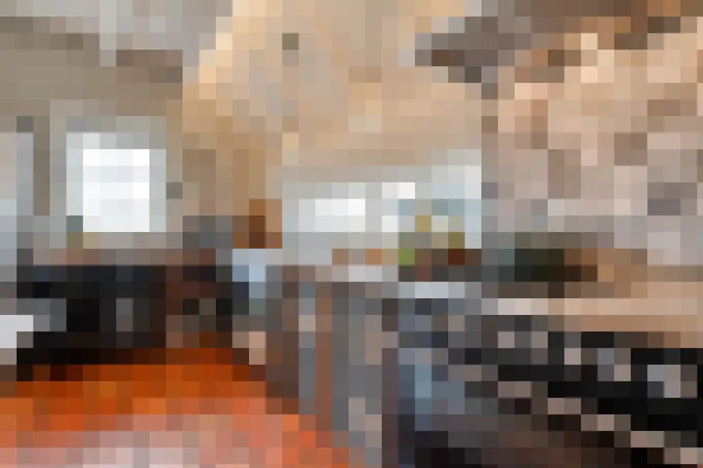 De Hooigraven 5 Dalfsen thumbnail 25