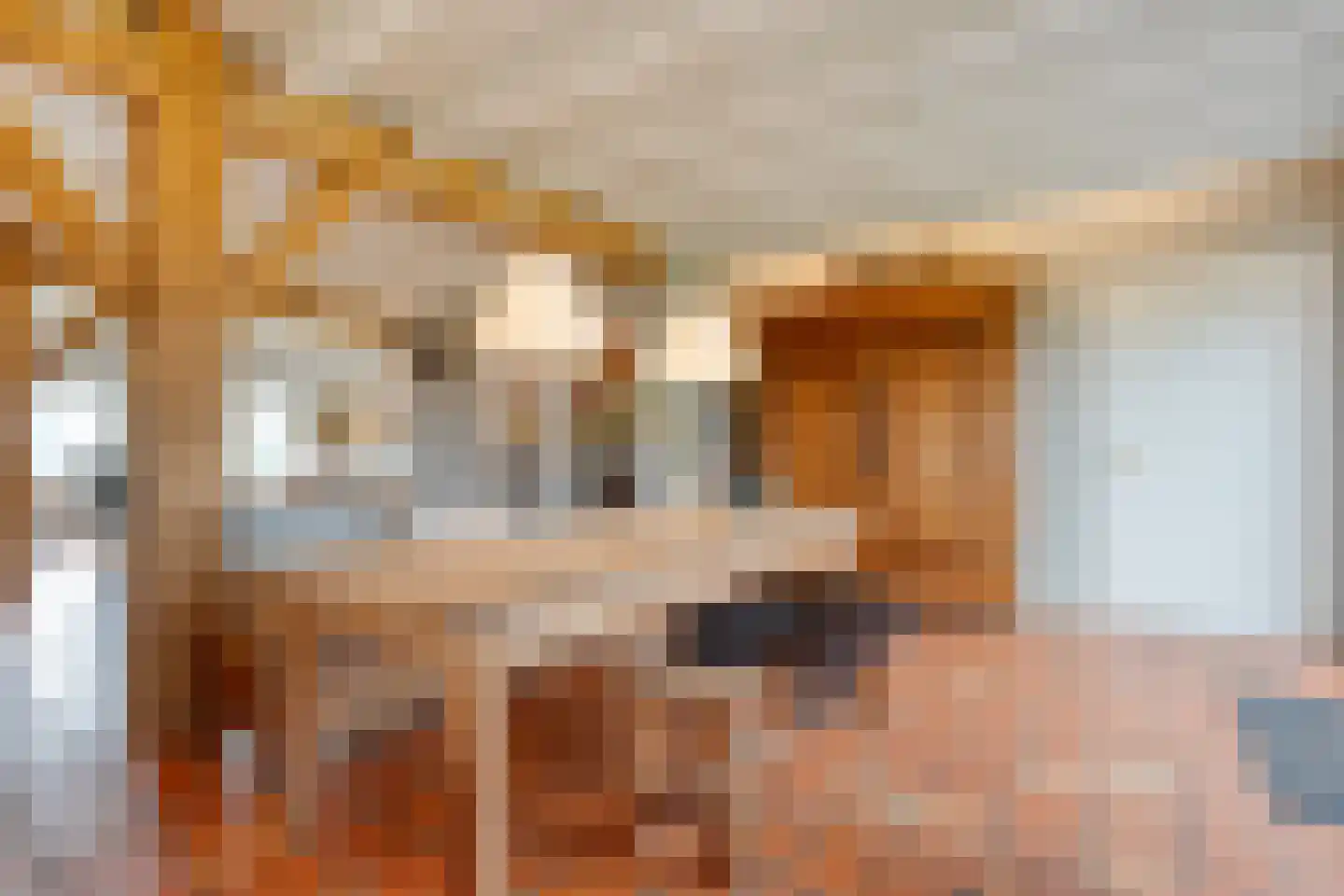 De Hooigraven 5 Dalfsen thumbnail 26