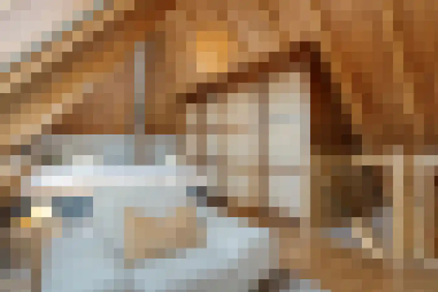 De Hooigraven 5 Dalfsen thumbnail 29