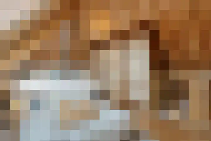 De Hooigraven 5 Dalfsen thumbnail 29