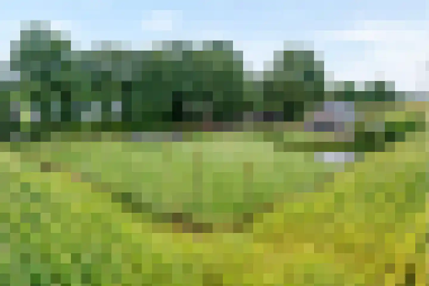 De Hooigraven 5 Dalfsen foto 3