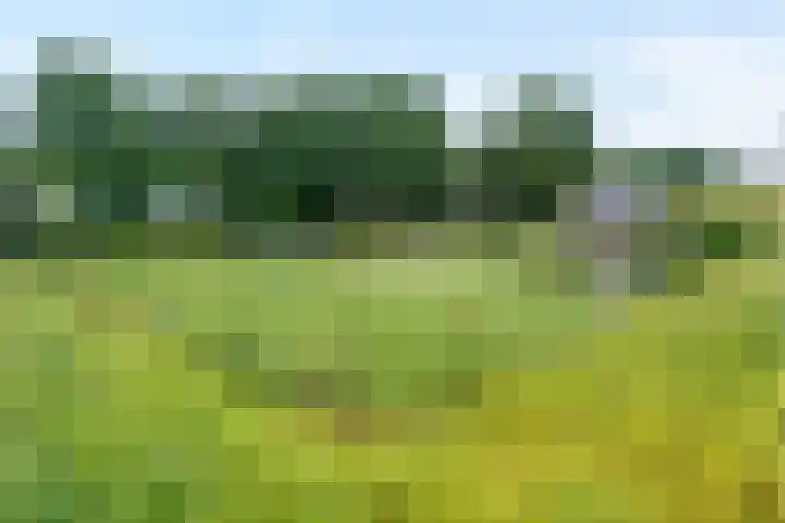 De Hooigraven 5 Dalfsen foto 3