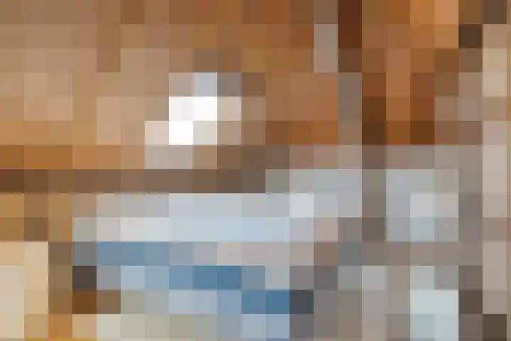 De Hooigraven 5 Dalfsen thumbnail 30