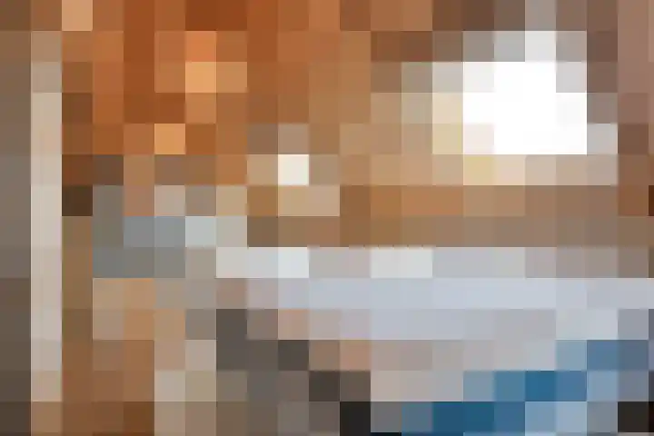 De Hooigraven 5 Dalfsen thumbnail 31