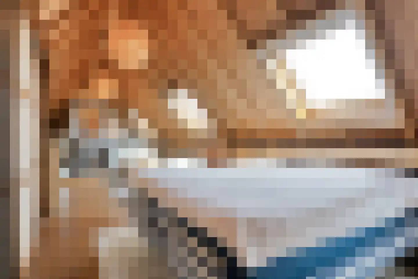 De Hooigraven 5 Dalfsen thumbnail 31