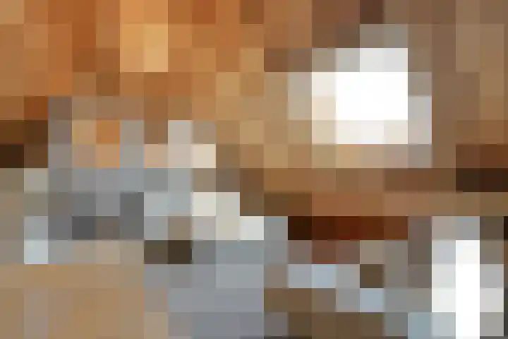 De Hooigraven 5 Dalfsen thumbnail 32