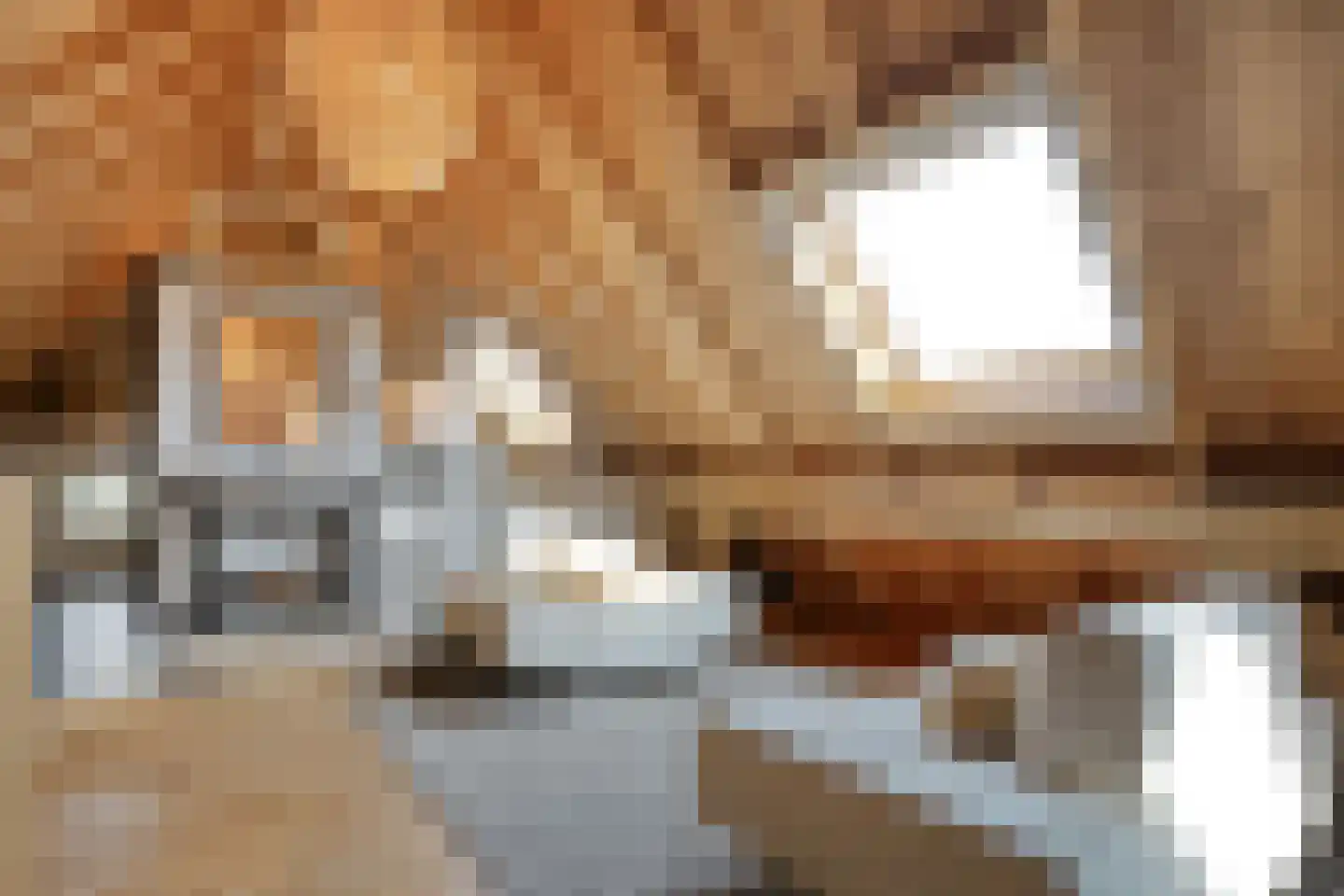 De Hooigraven 5 Dalfsen thumbnail 32
