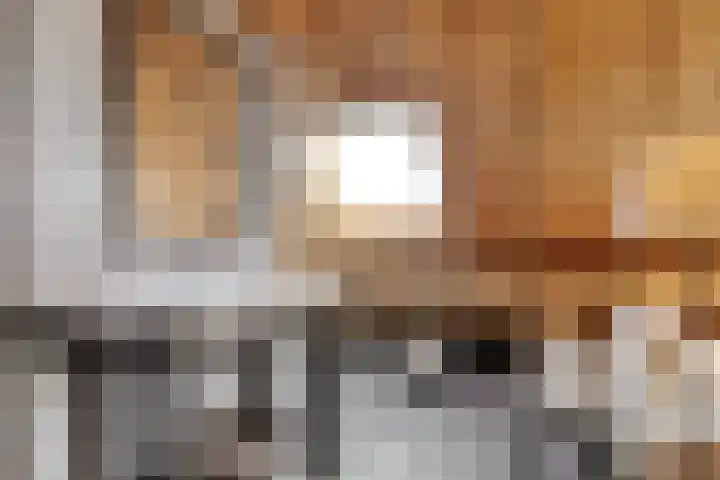 De Hooigraven 5 Dalfsen thumbnail 34