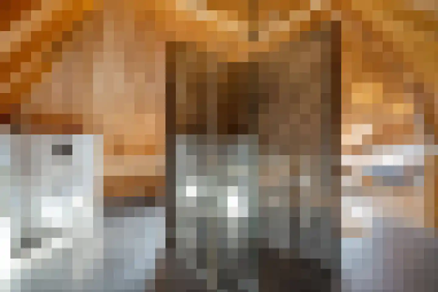 De Hooigraven 5 Dalfsen thumbnail 35