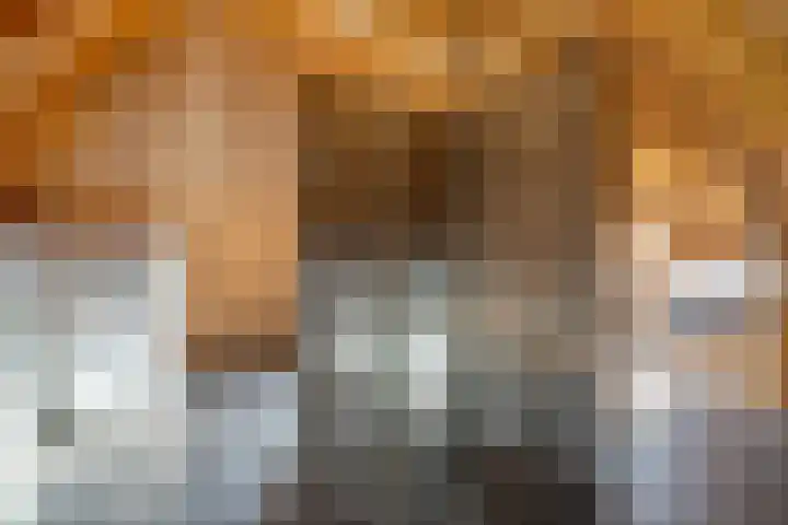 De Hooigraven 5 Dalfsen thumbnail 35