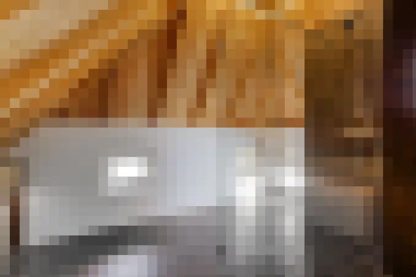 De Hooigraven 5 Dalfsen thumbnail 36