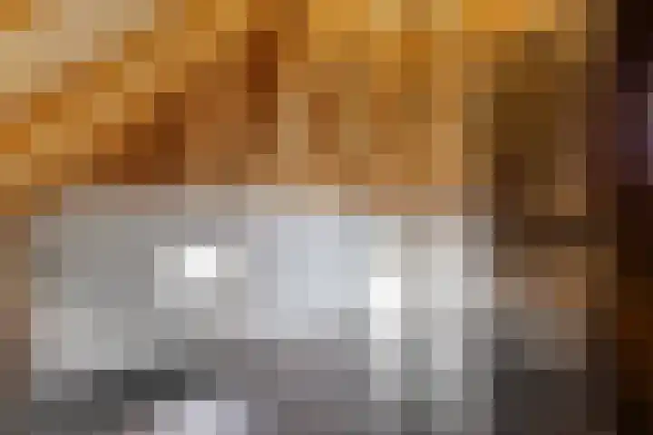 De Hooigraven 5 Dalfsen thumbnail 36