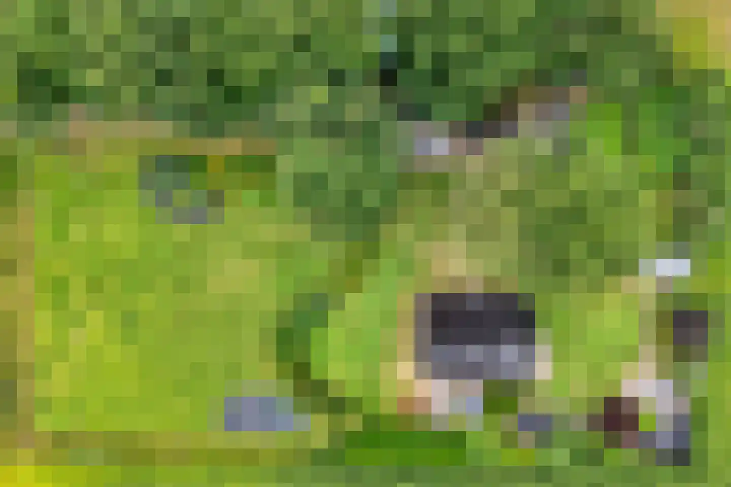 De Hooigraven 5 Dalfsen thumbnail 37