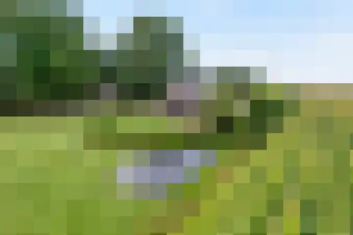 De Hooigraven 5 Dalfsen thumbnail 38