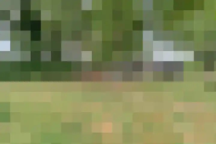 De Hooigraven 5 Dalfsen thumbnail 39