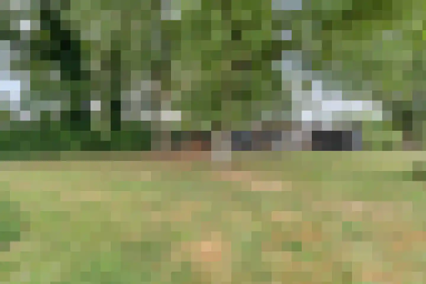 De Hooigraven 5 Dalfsen thumbnail 39
