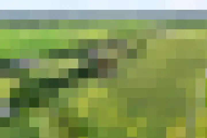 De Hooigraven 5 Dalfsen thumbnail 4