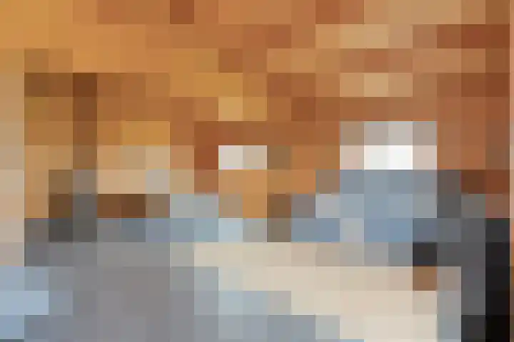 De Hooigraven 5 Dalfsen thumbnail 41