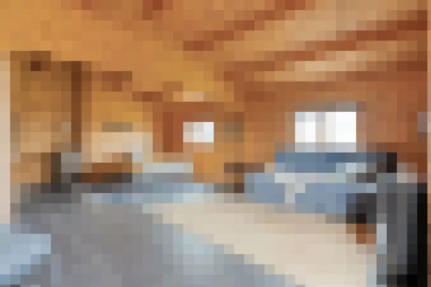 De Hooigraven 5 Dalfsen thumbnail 41