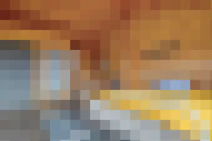 De Hooigraven 5 Dalfsen thumbnail 42