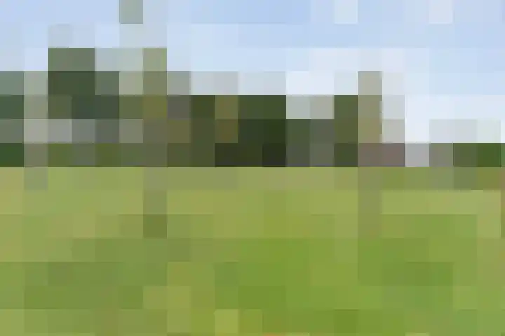 De Hooigraven 5 Dalfsen thumbnail 44