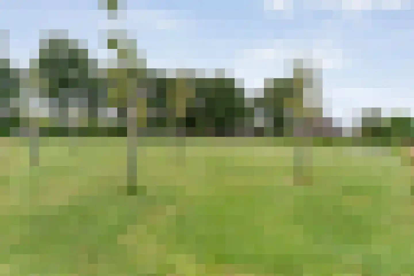 De Hooigraven 5 Dalfsen thumbnail 44