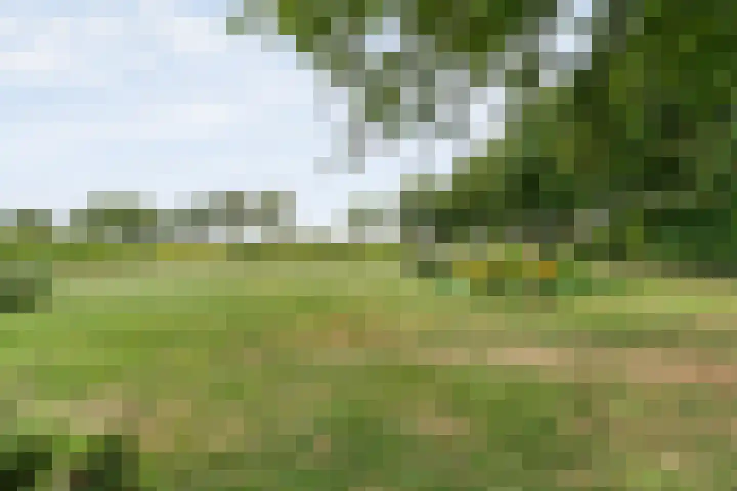 De Hooigraven 5 Dalfsen thumbnail 45