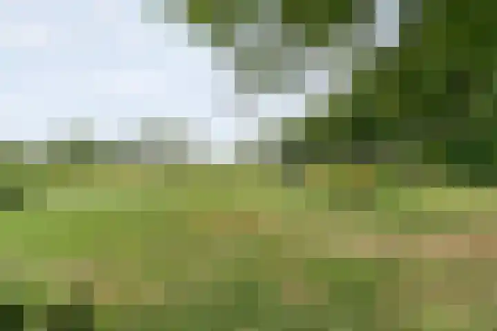 De Hooigraven 5 Dalfsen thumbnail 45