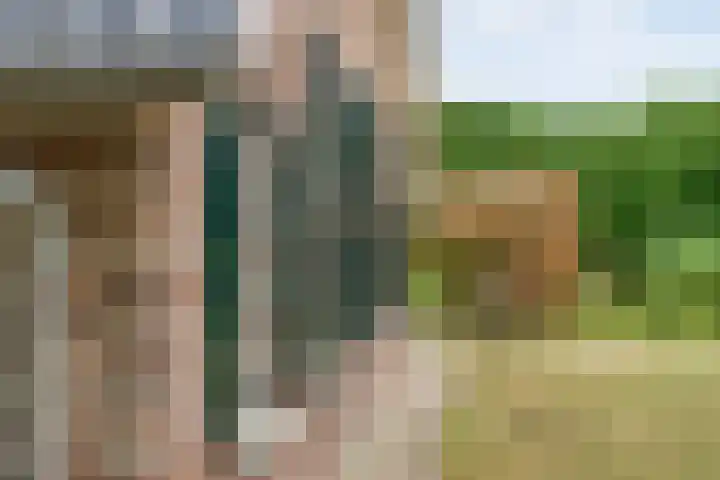 De Hooigraven 5 Dalfsen thumbnail 47