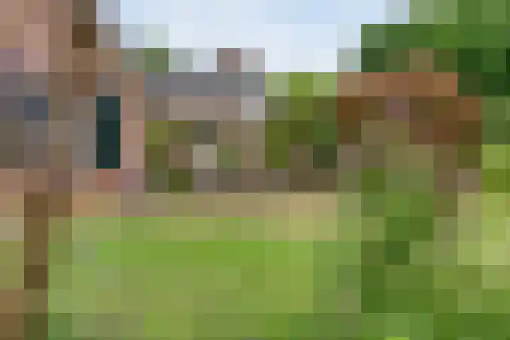 De Hooigraven 5 Dalfsen thumbnail 48