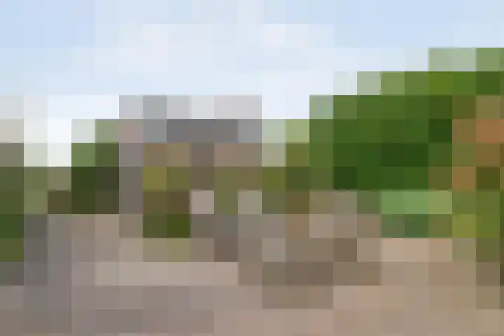 De Hooigraven 5 Dalfsen thumbnail 49
