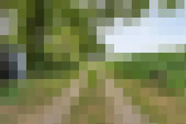 De Hooigraven 5 Dalfsen thumbnail 5