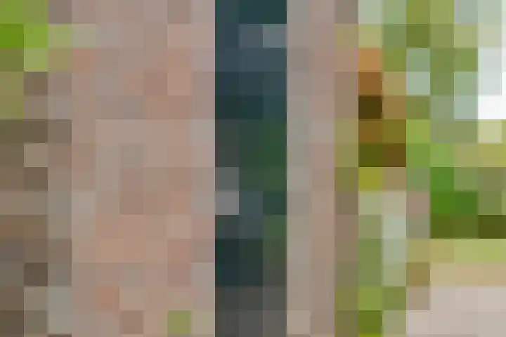 De Hooigraven 5 Dalfsen thumbnail 50