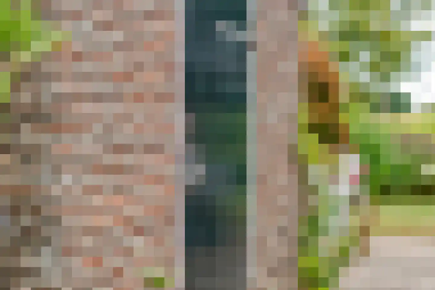 De Hooigraven 5 Dalfsen thumbnail 50