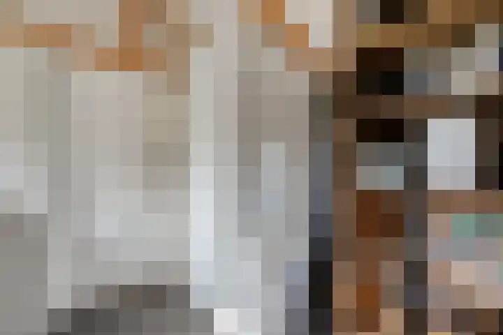 De Hooigraven 5 Dalfsen thumbnail 51