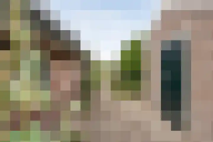 De Hooigraven 5 Dalfsen thumbnail 53