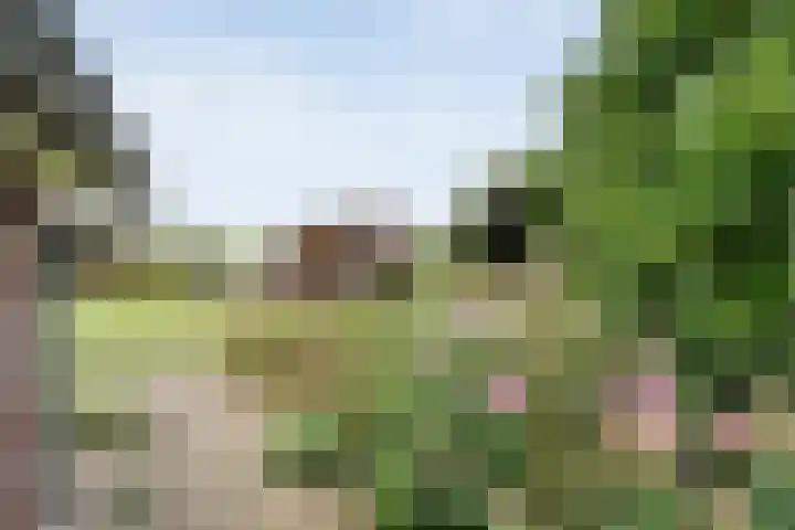 De Hooigraven 5 Dalfsen thumbnail 54