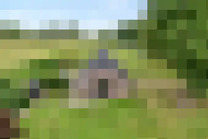 De Hooigraven 5 Dalfsen thumbnail 55