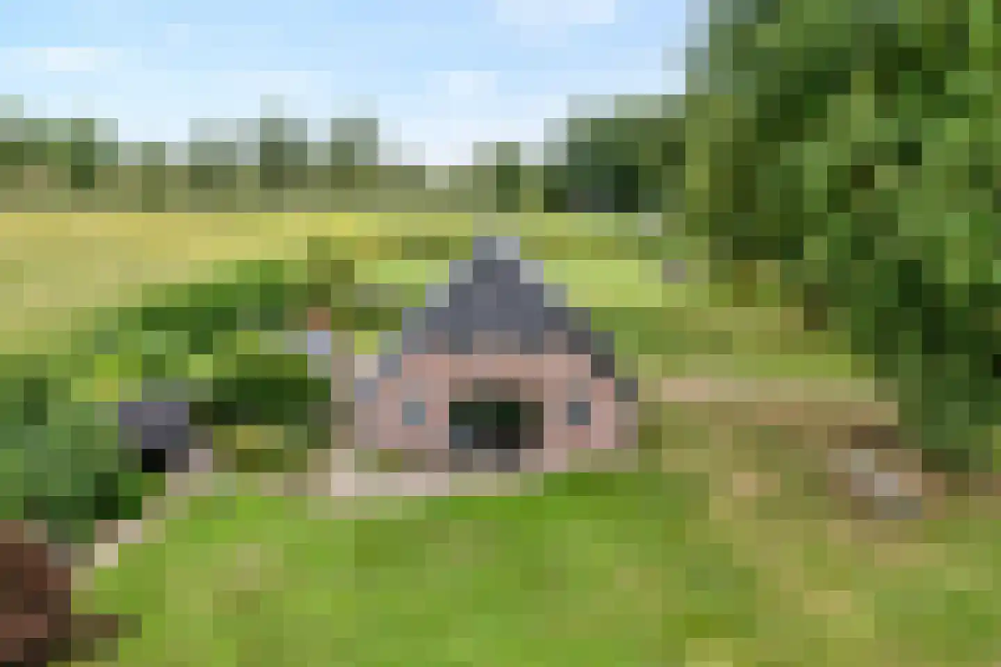 De Hooigraven 5 Dalfsen thumbnail 55