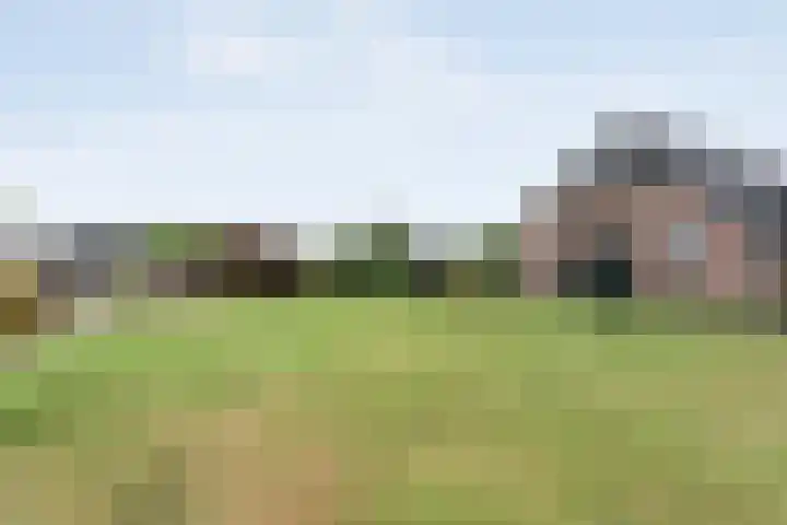 De Hooigraven 5 Dalfsen thumbnail 56