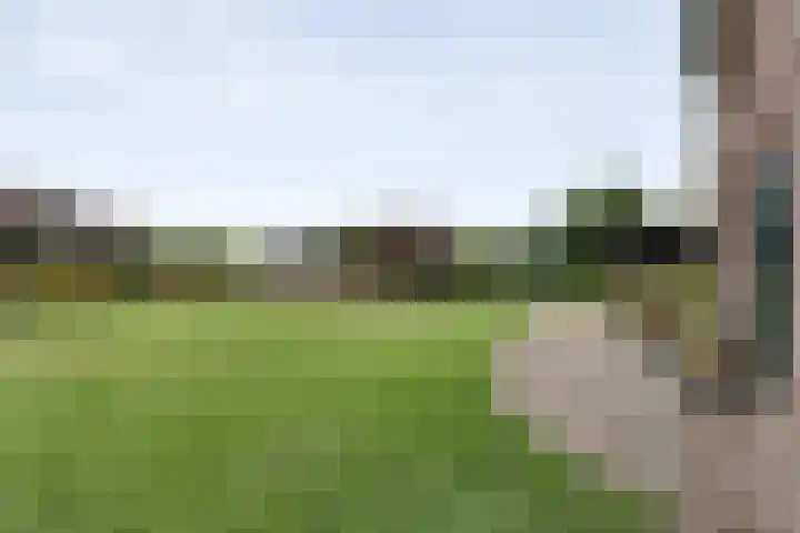 De Hooigraven 5 Dalfsen thumbnail 57