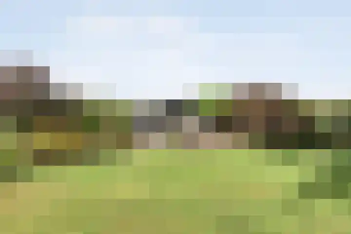 De Hooigraven 5 Dalfsen thumbnail 58