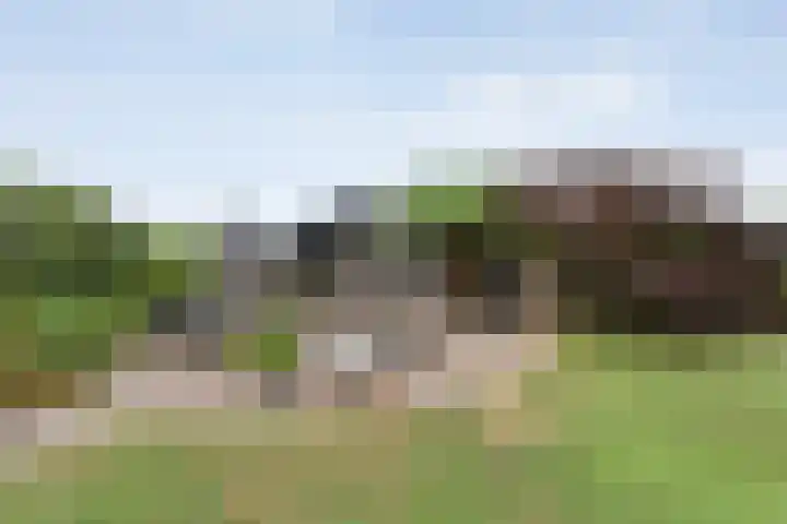De Hooigraven 5 Dalfsen thumbnail 59