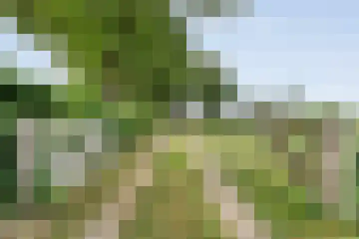 De Hooigraven 5 Dalfsen thumbnail 6