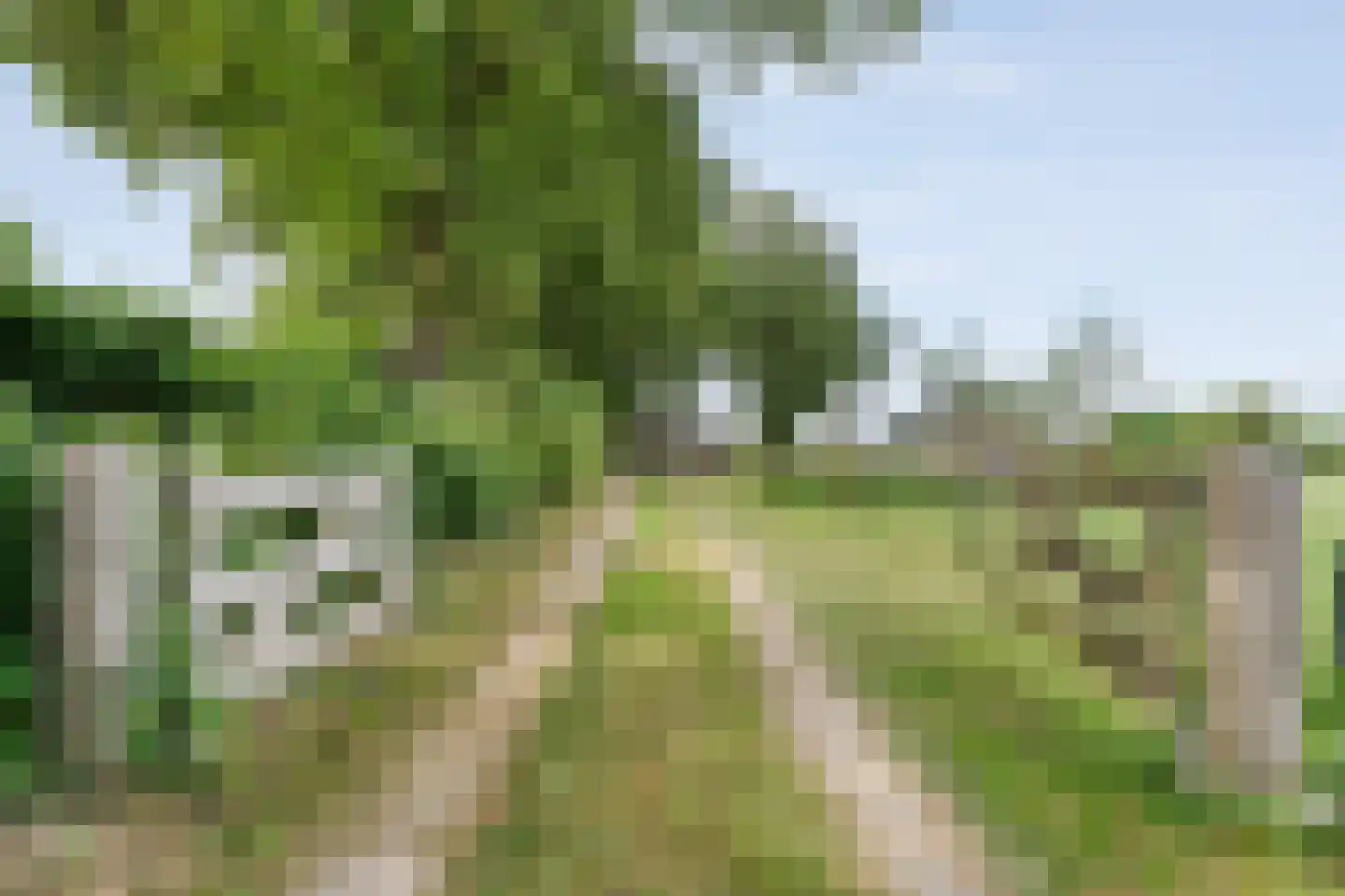 De Hooigraven 5 Dalfsen thumbnail 6