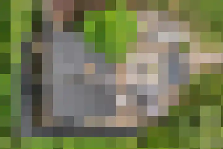 De Hooigraven 5 Dalfsen thumbnail 60