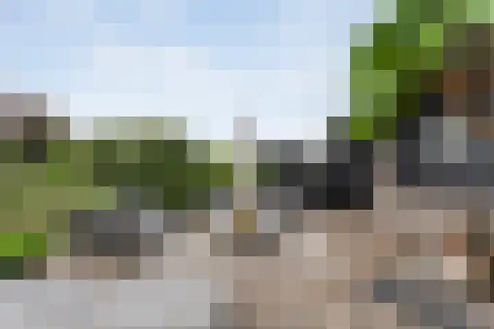 De Hooigraven 5 Dalfsen thumbnail 62