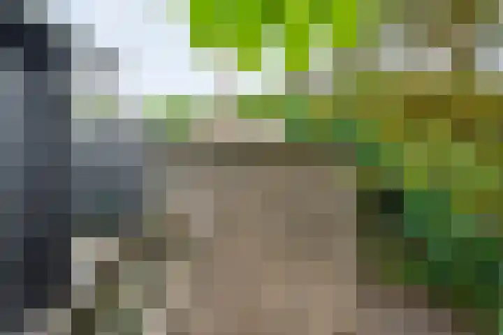De Hooigraven 5 Dalfsen thumbnail 63