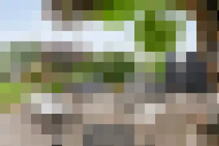 De Hooigraven 5 Dalfsen thumbnail 64