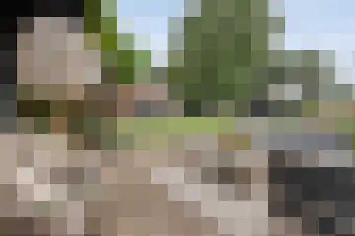 De Hooigraven 5 Dalfsen thumbnail 65